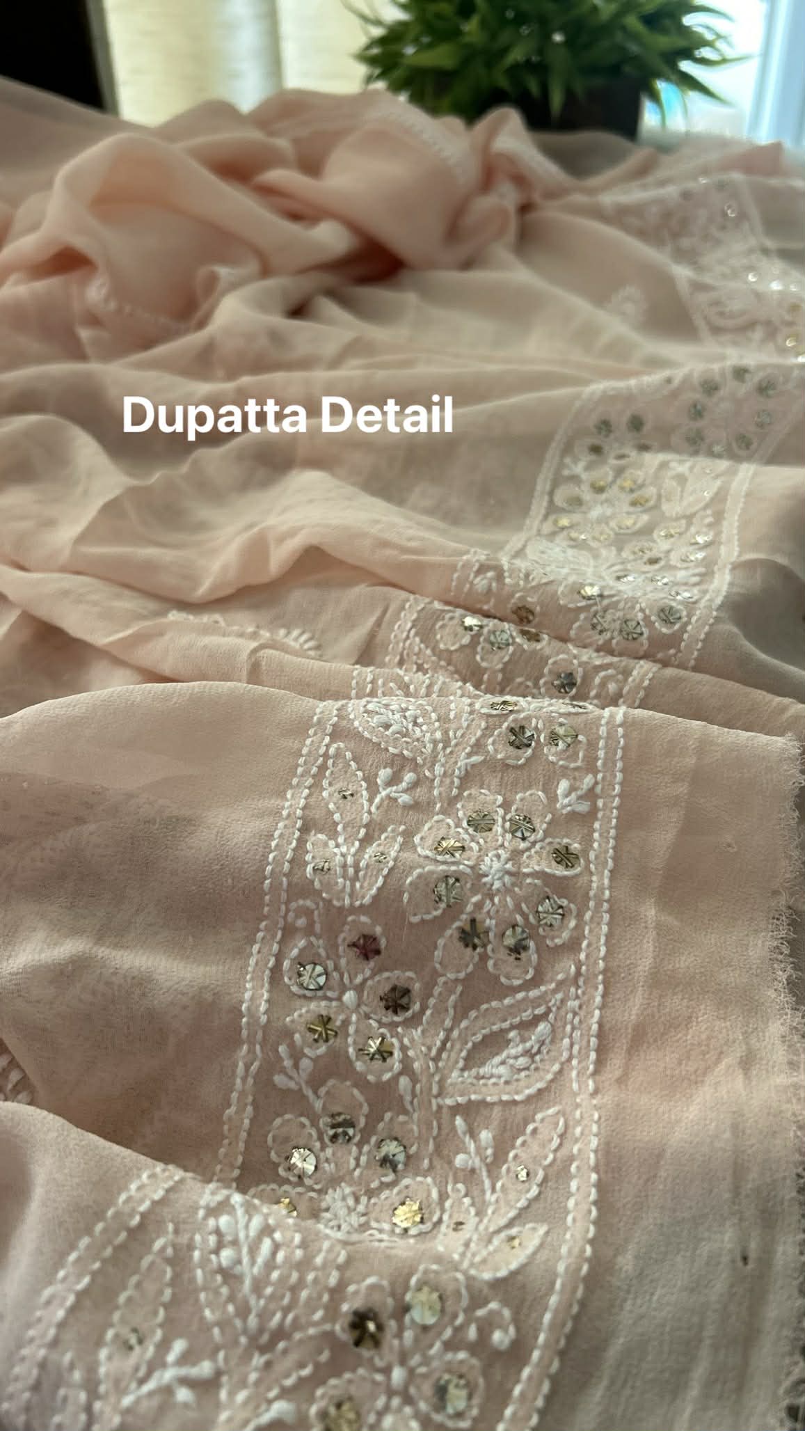 Pastel Pink Ring Mukaish Chikankari Suit (Kurta & Dupatta)