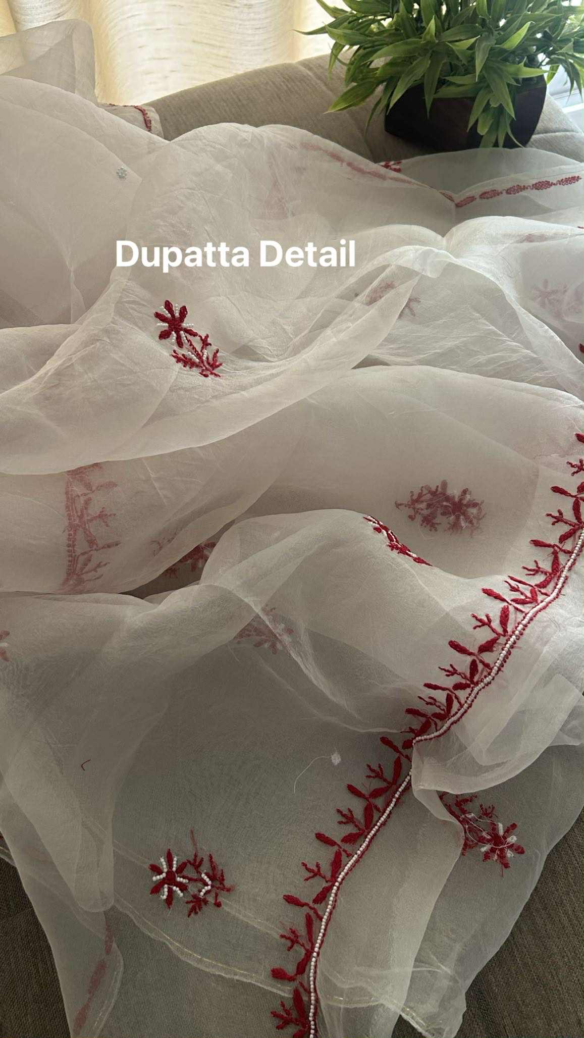 Exclusive Organza Pearl Chikankari Suit