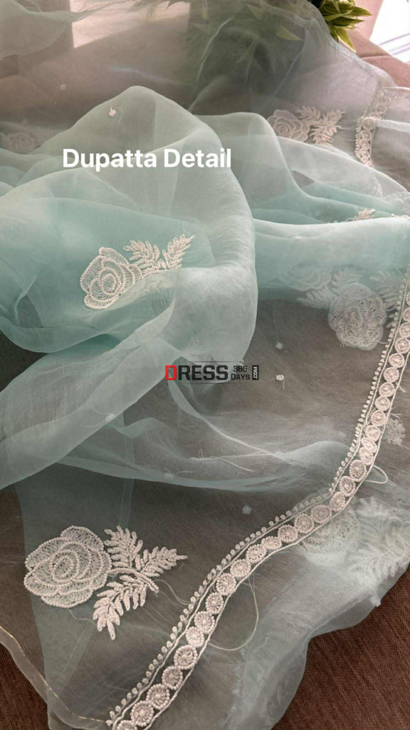 Exclusive Aqua Blue Organza Pearl Chikankari Suit Chikankari Suits