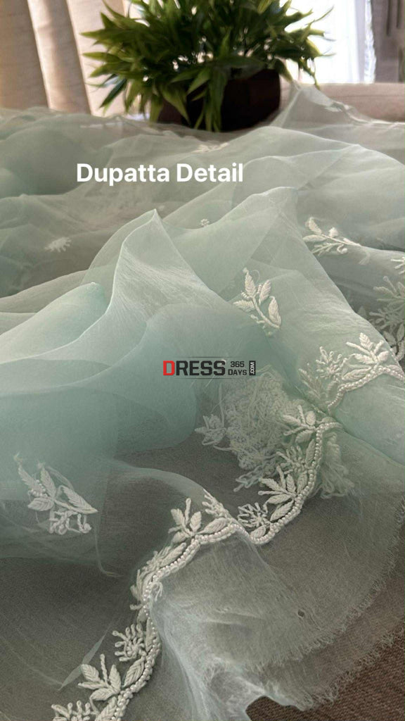 Exclusive Sea Green Organza Pearl Chikankari Suit Chikankari Suits