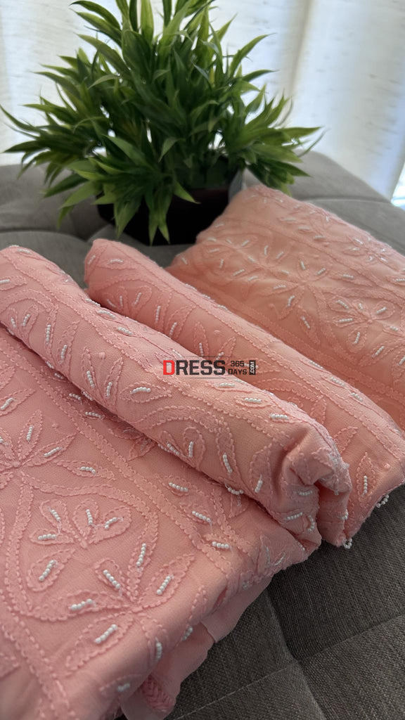 Peach Lucknowi Work Net Straight Salwar Suit - Rent main image 0