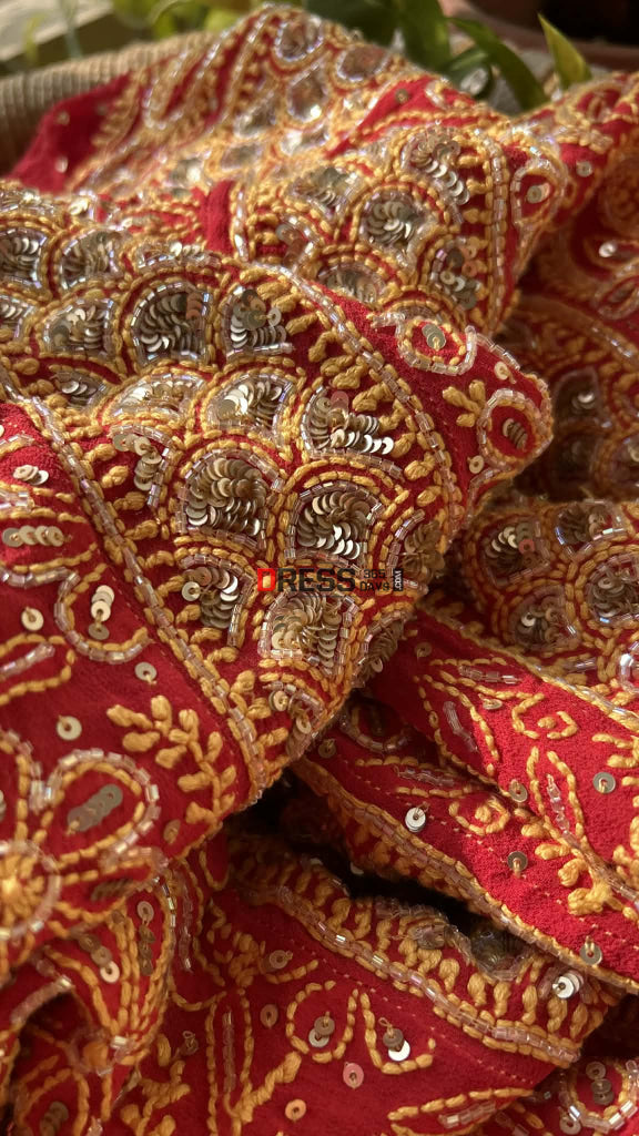 Red Masterpiece Cut Dana & Sequins Work Chikankari Anarkali Suit Chikankari Anarkali