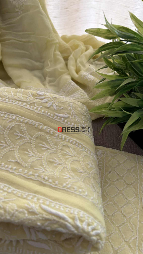 Yellow Fine Chikankari Jaali Anarkali Suit Chikankari Anarkali