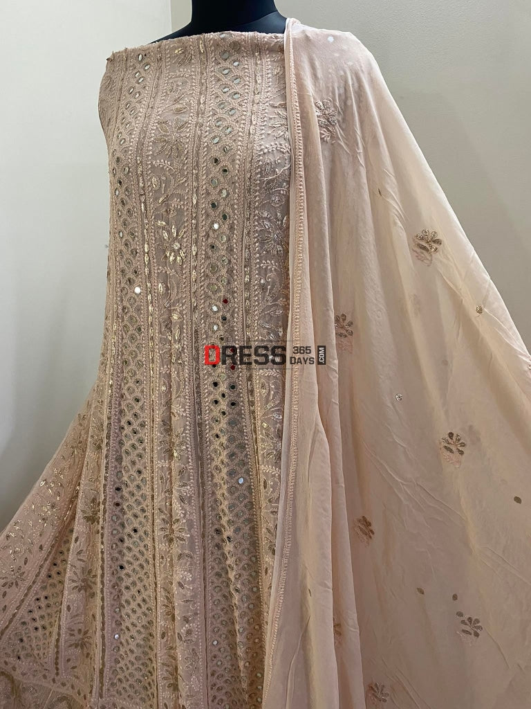 Fawn Mirror Chikankari Anarkali Suit
