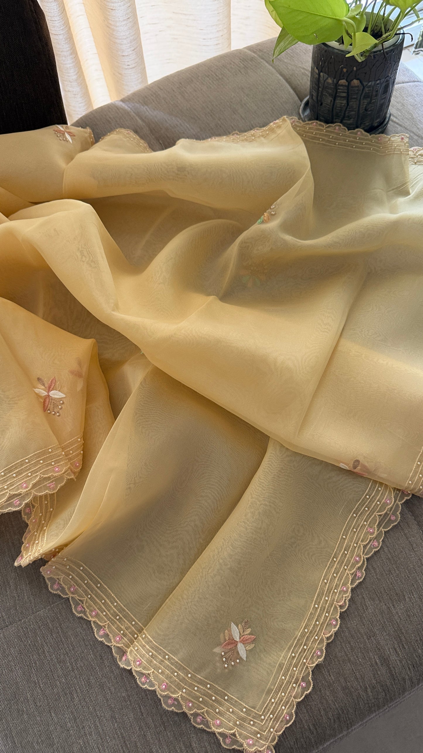 Exclusive Beige Organza Pearls Chikankari Suit