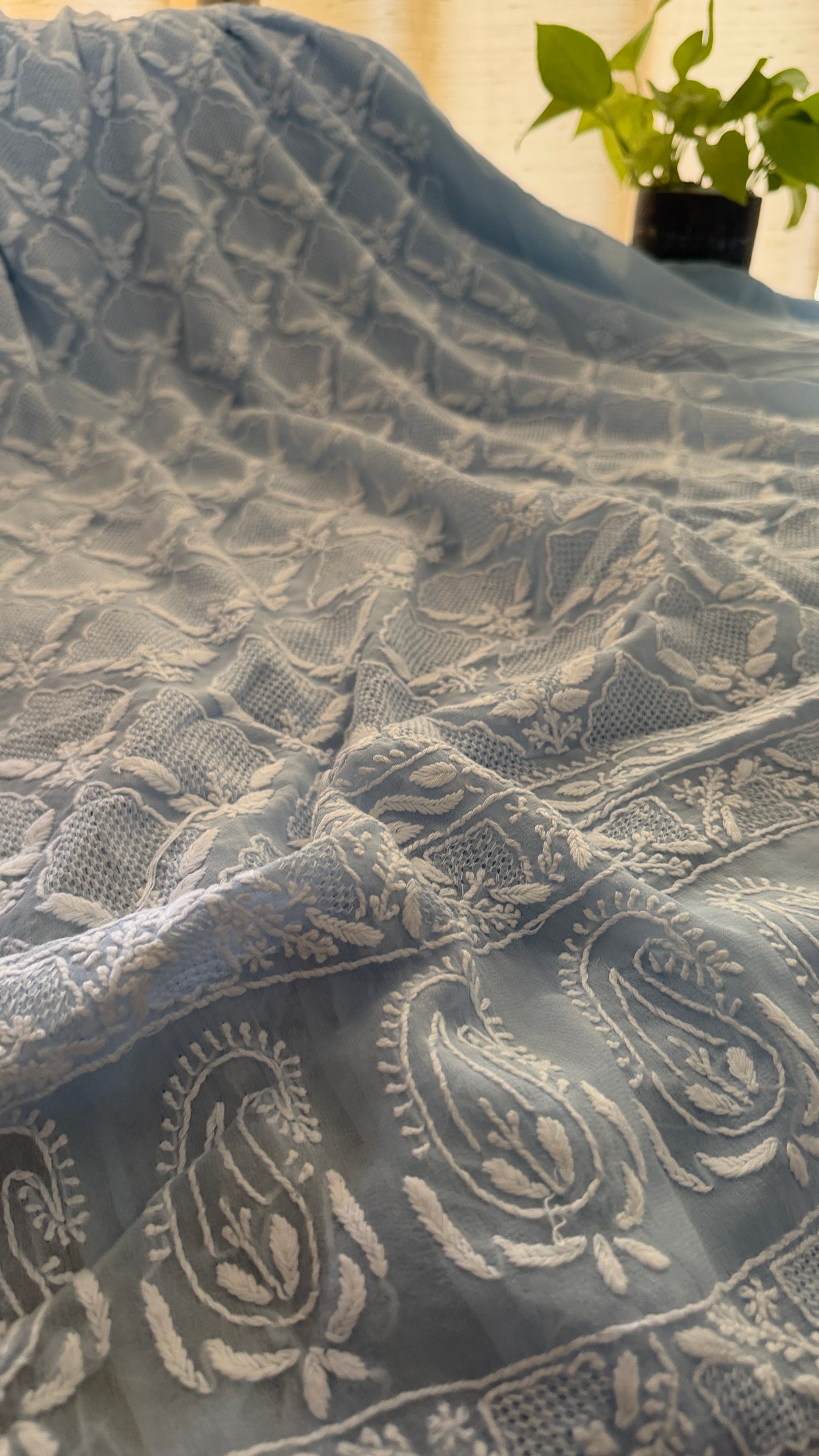 Exclusive Powder Blue Hand Jaali Chikankari Suit