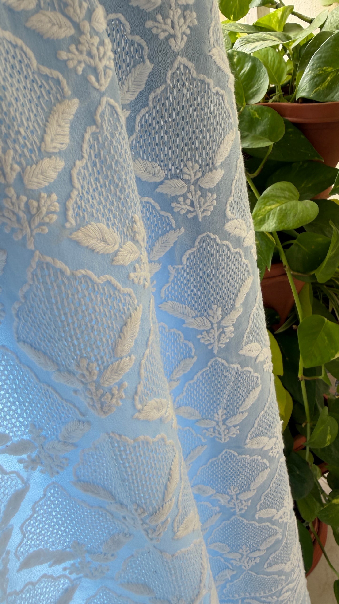 Exclusive Powder Blue Hand Jaali Chikankari Suit