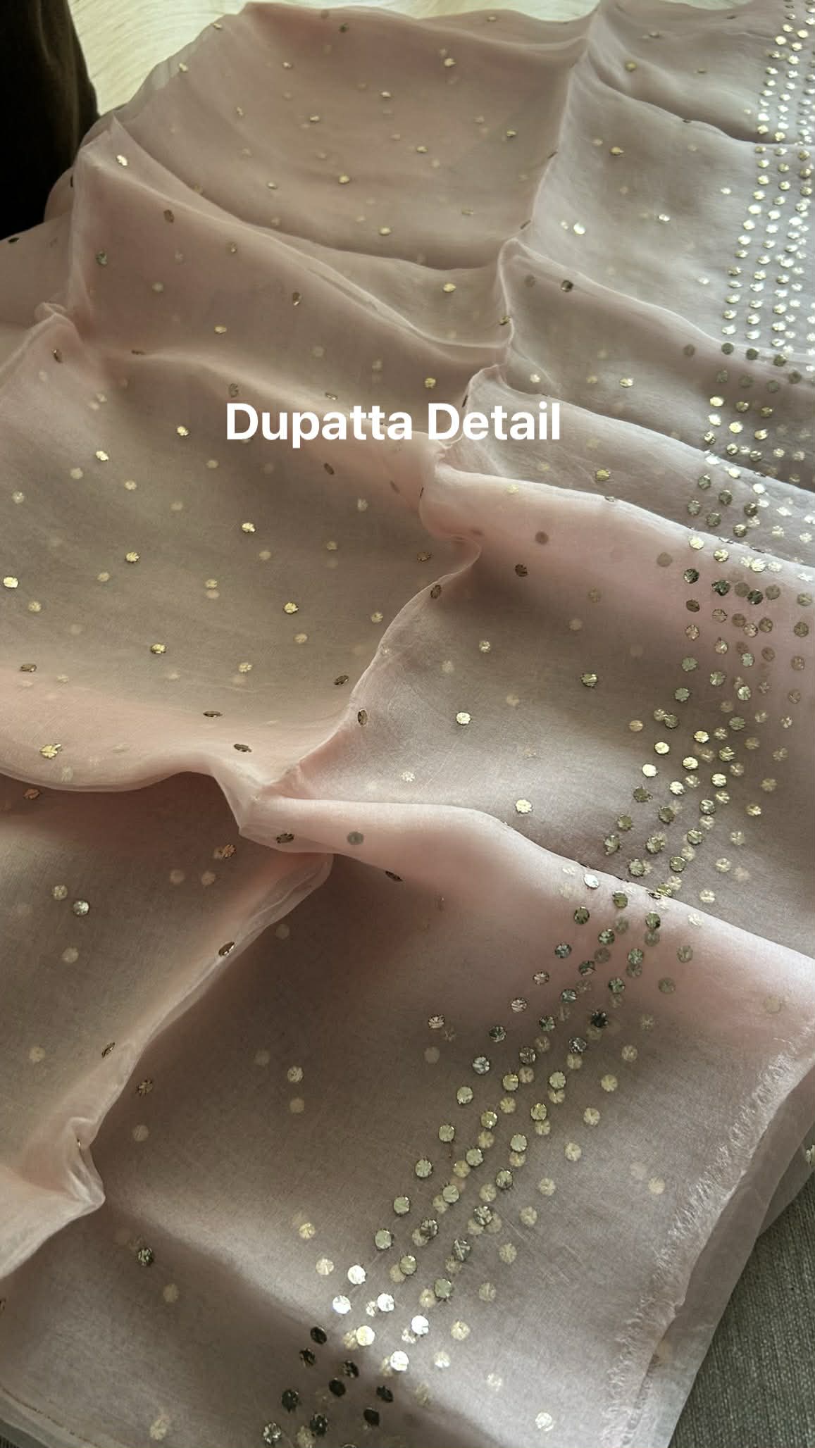 Pastel Pink Organza Mukaish Suit