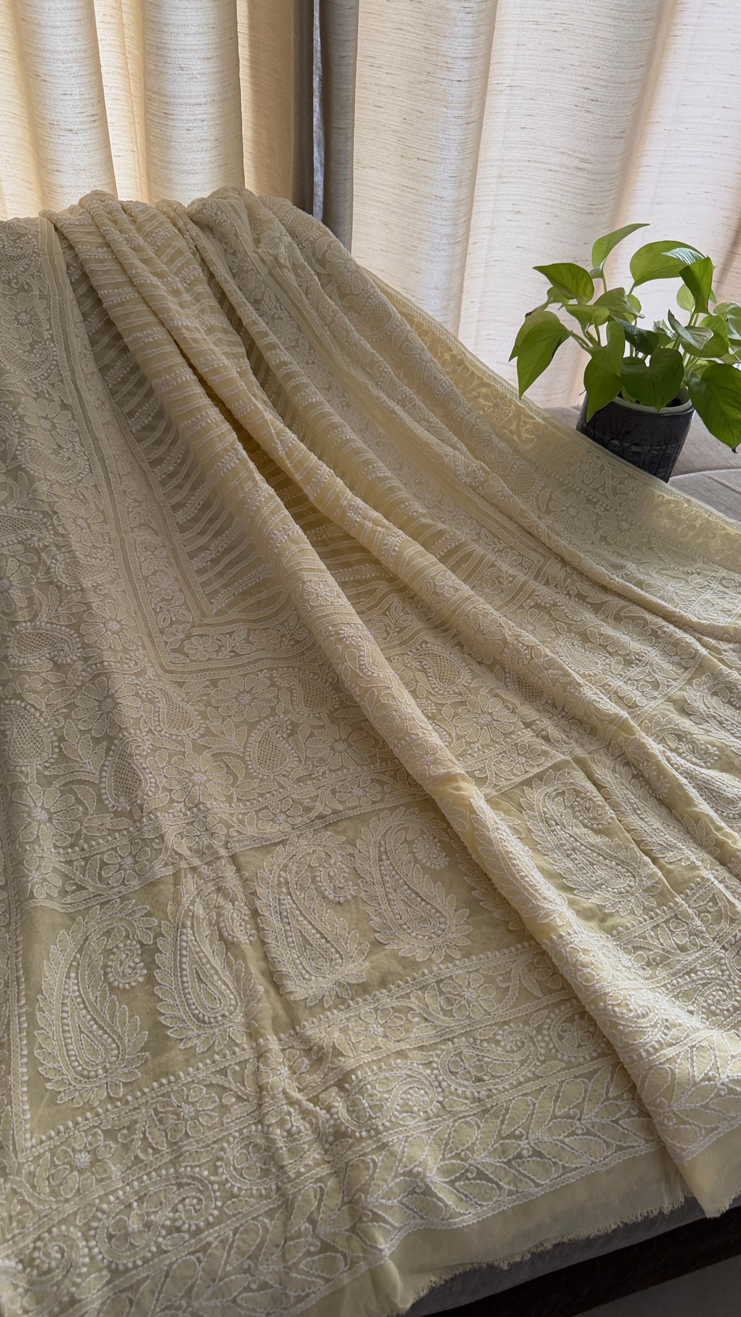 Beige Hand Jaali Chikankari Dupatta