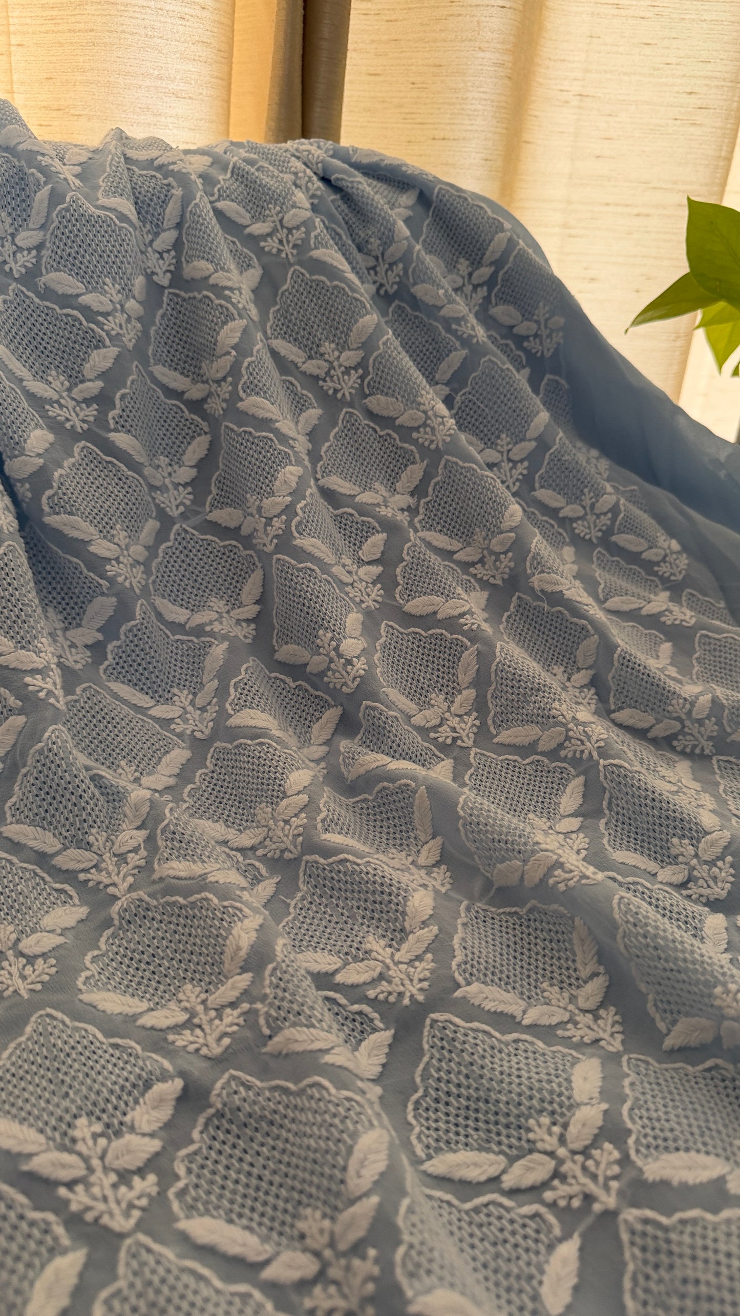 Exclusive Powder Blue Hand Jaali Chikankari Suit