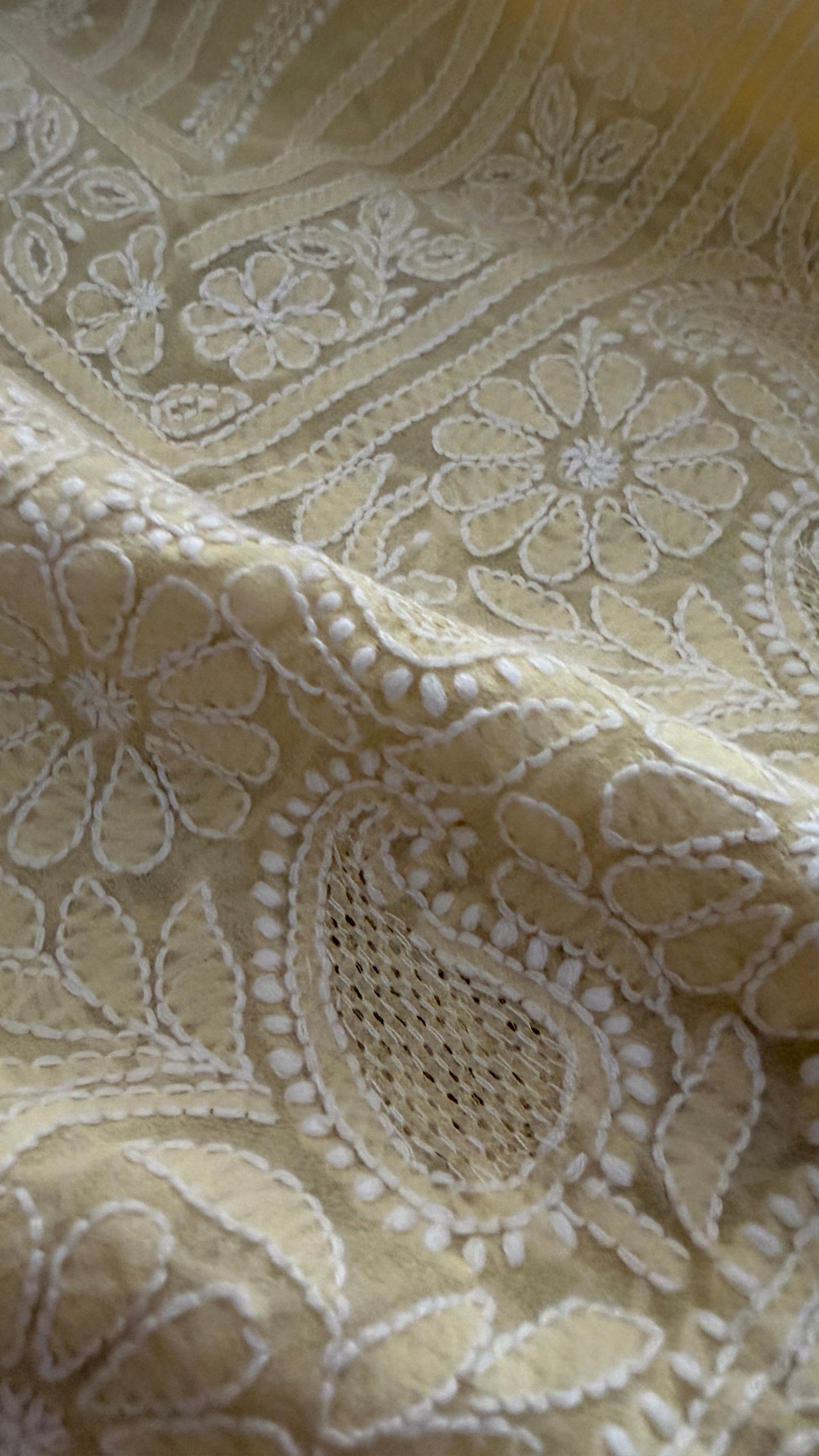 Beige Hand Jaali Chikankari Dupatta