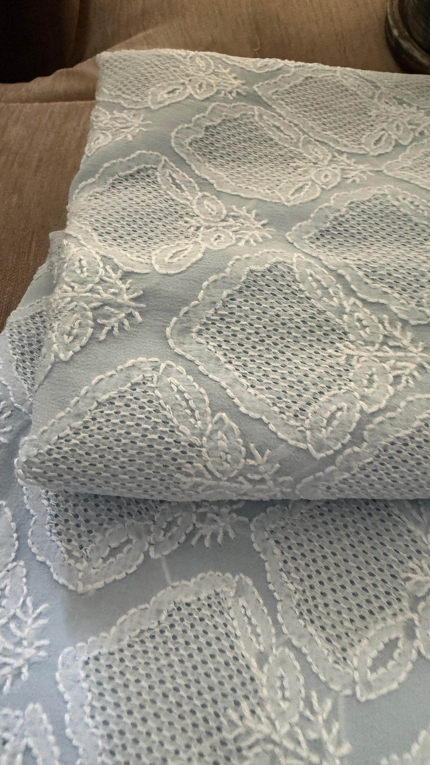 Exclusive Powder Blue Hand Jaali Chikankari Suit