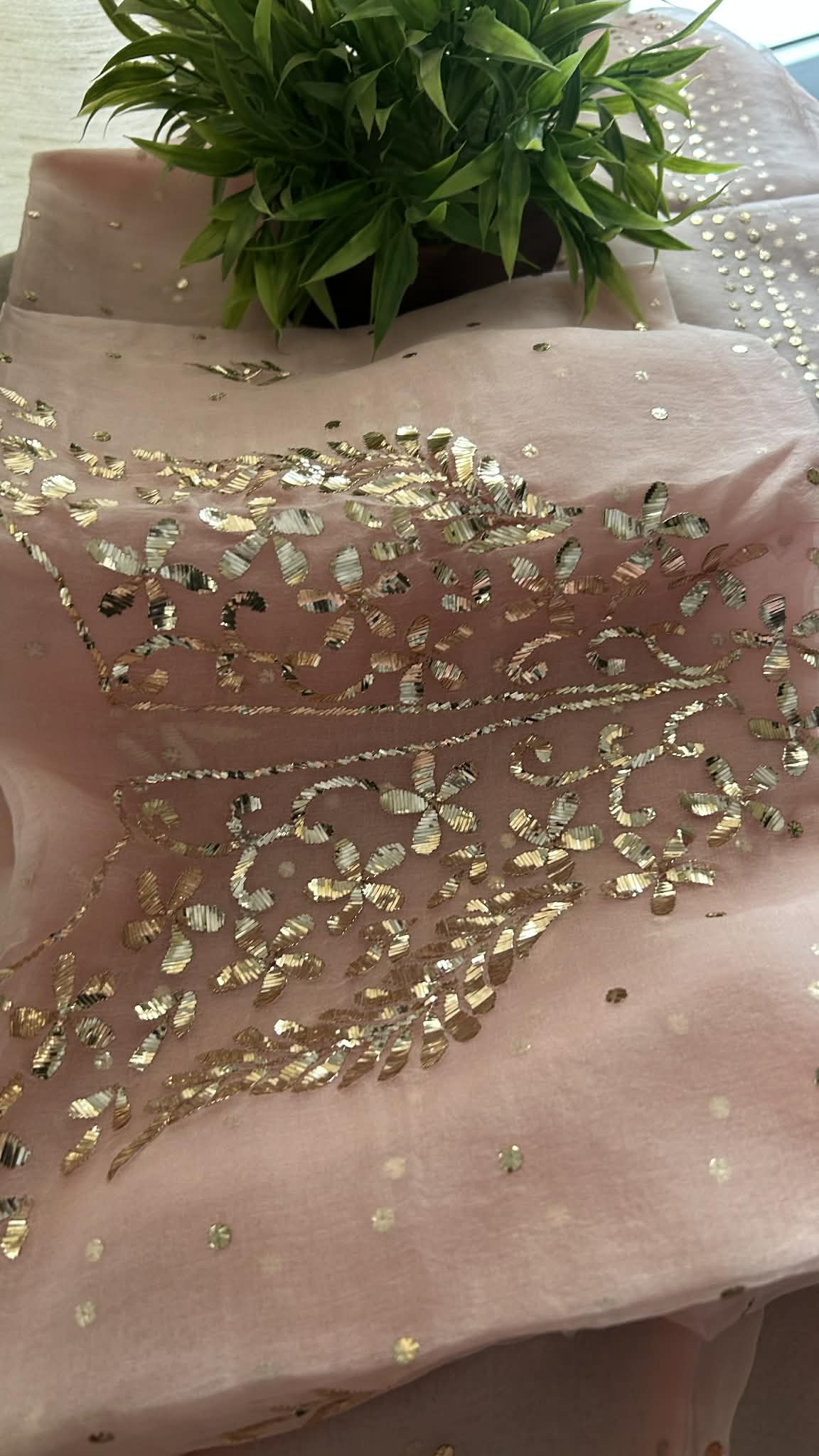 Pastel Pink Organza Mukaish Suit