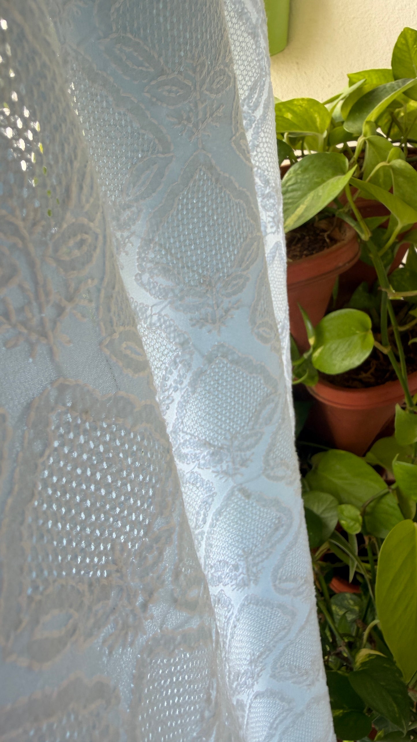 Exclusive Powder Blue Hand Jaali Chikankari Suit