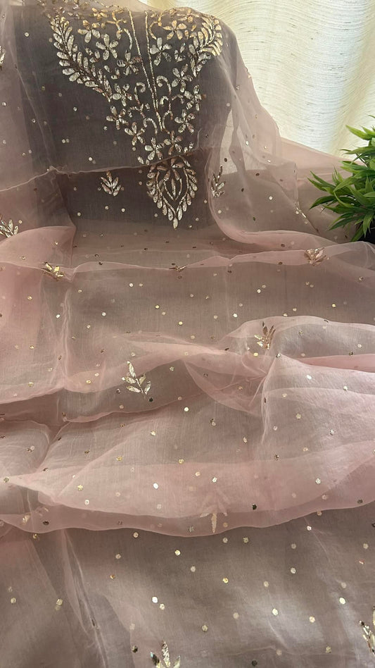 Pastel Pink Organza Mukaish Suit