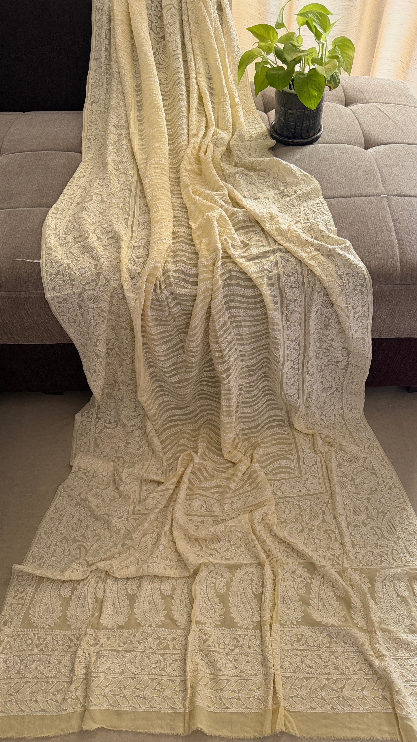 Beige Hand Jaali Chikankari Dupatta