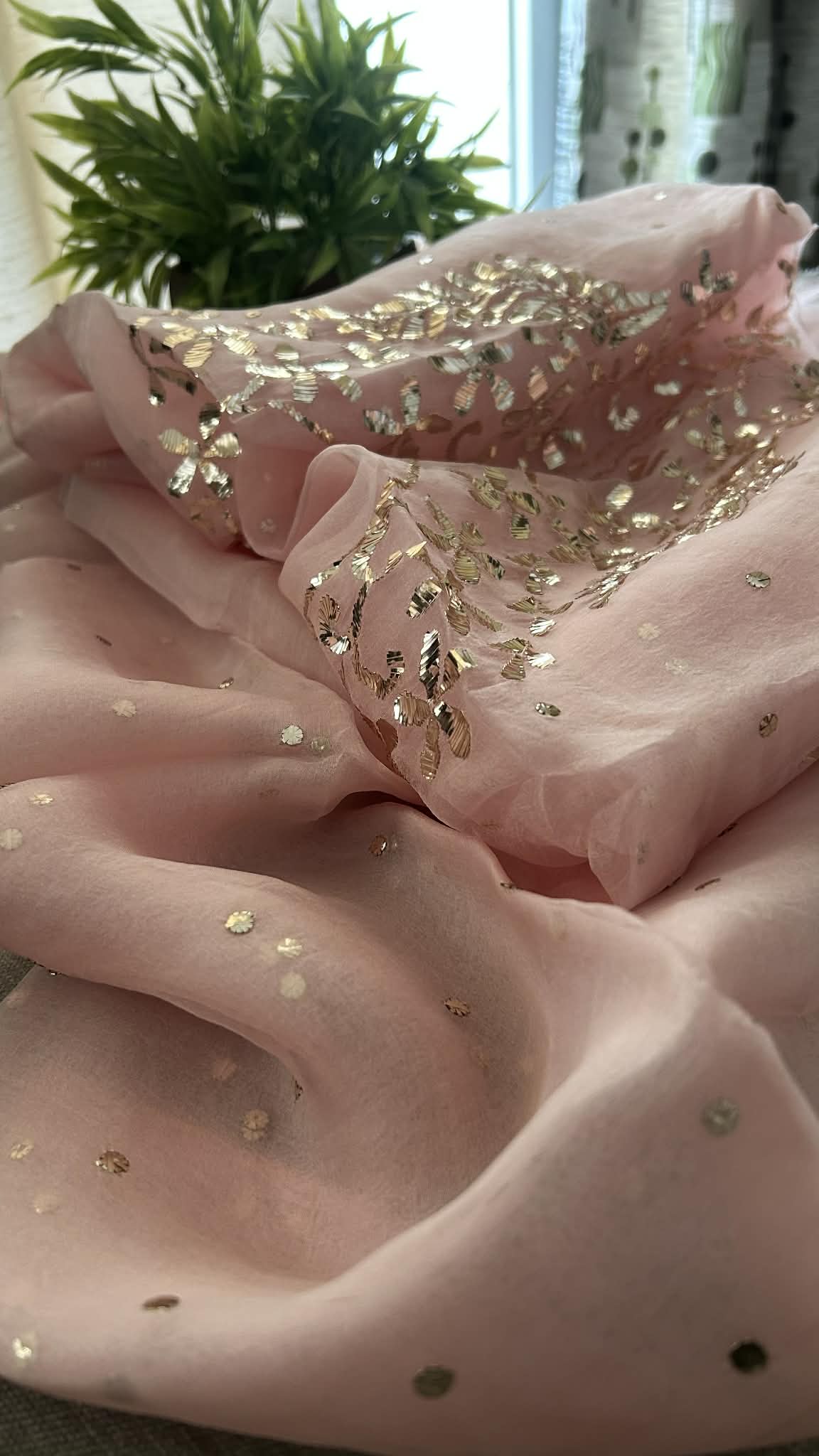 Pastel Pink Organza Mukaish Suit