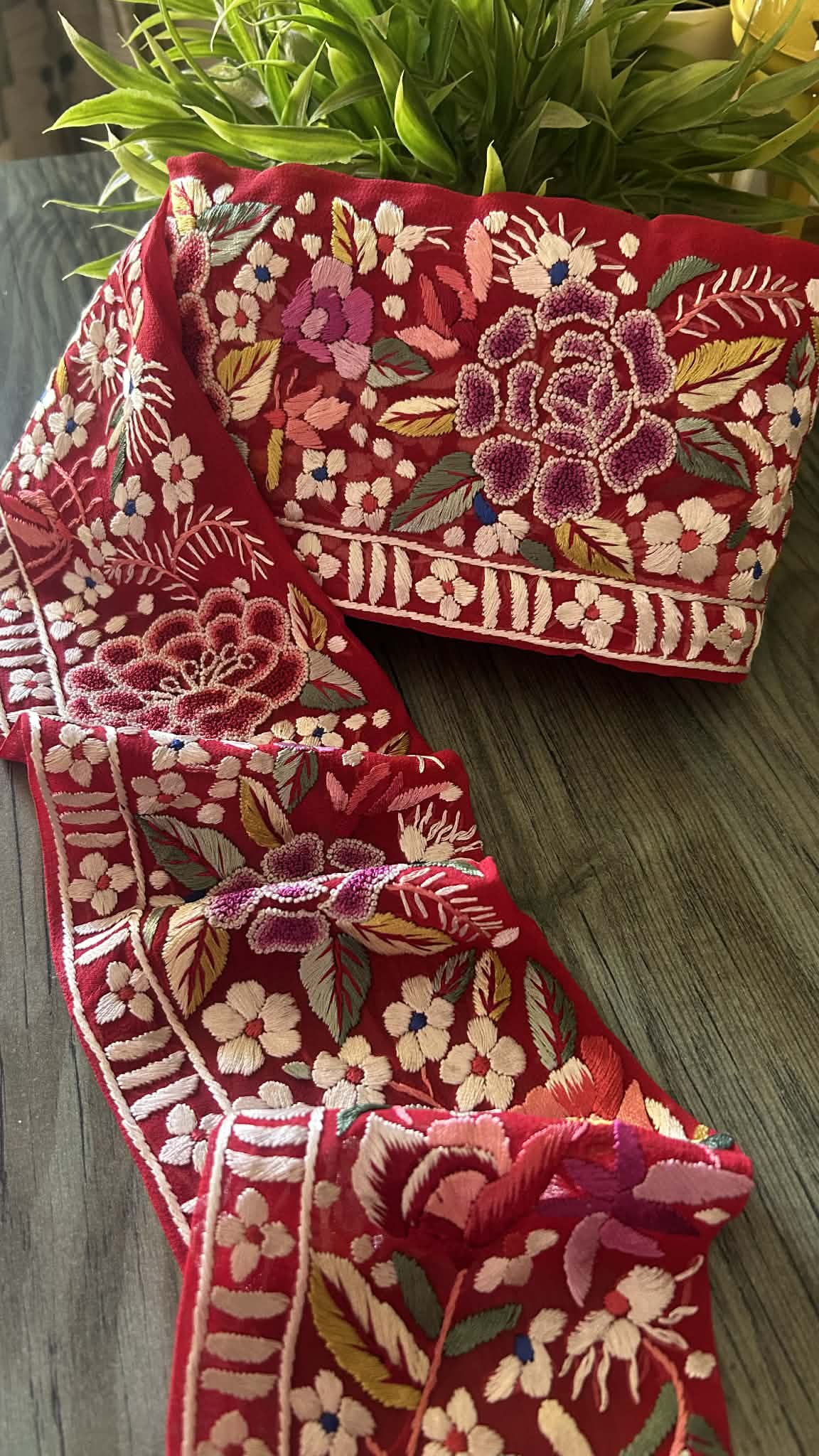 Exclusive Parsi Gara Hand Embroidered Border (Red)