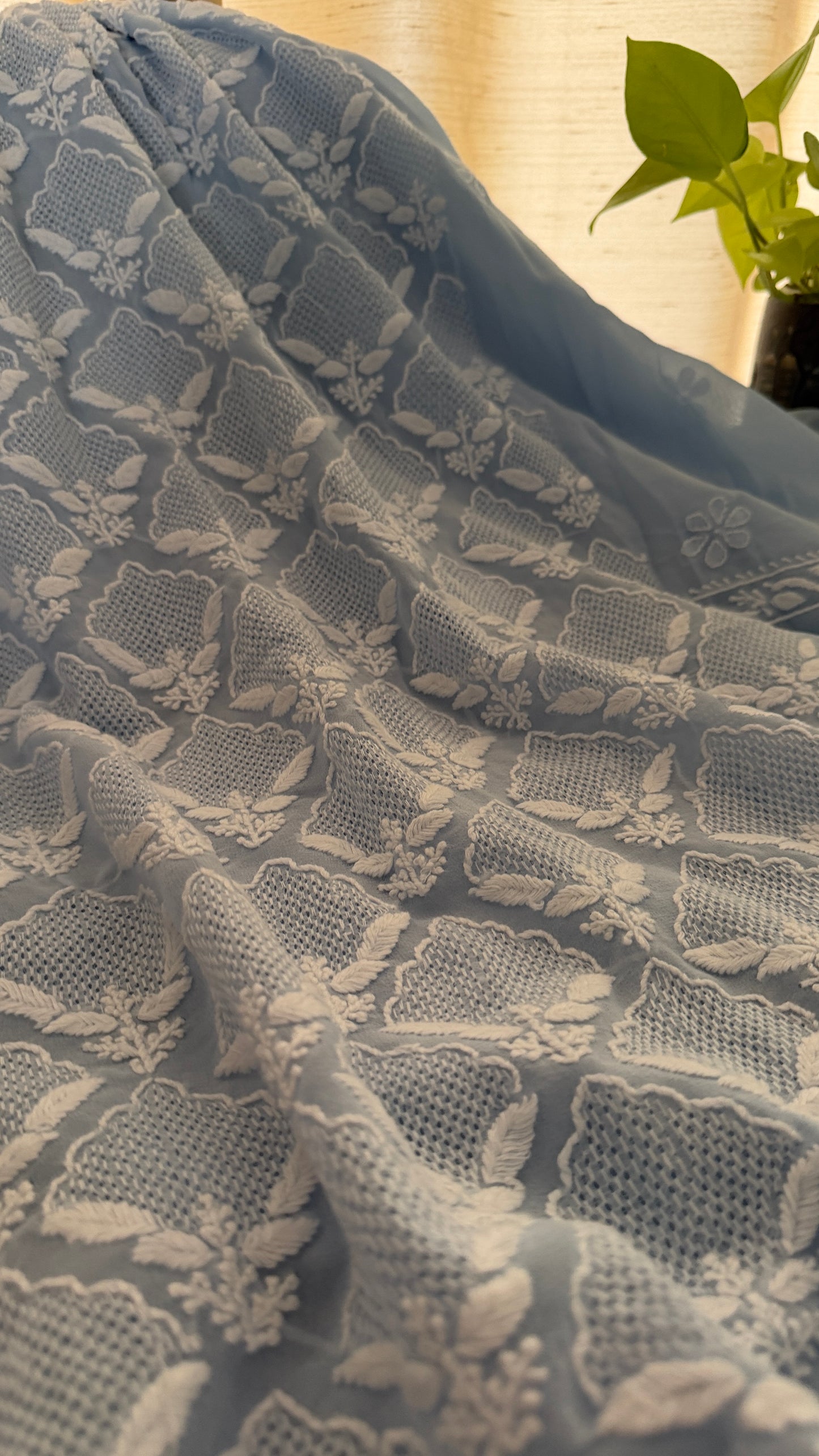 Exclusive Powder Blue Hand Jaali Chikankari Suit
