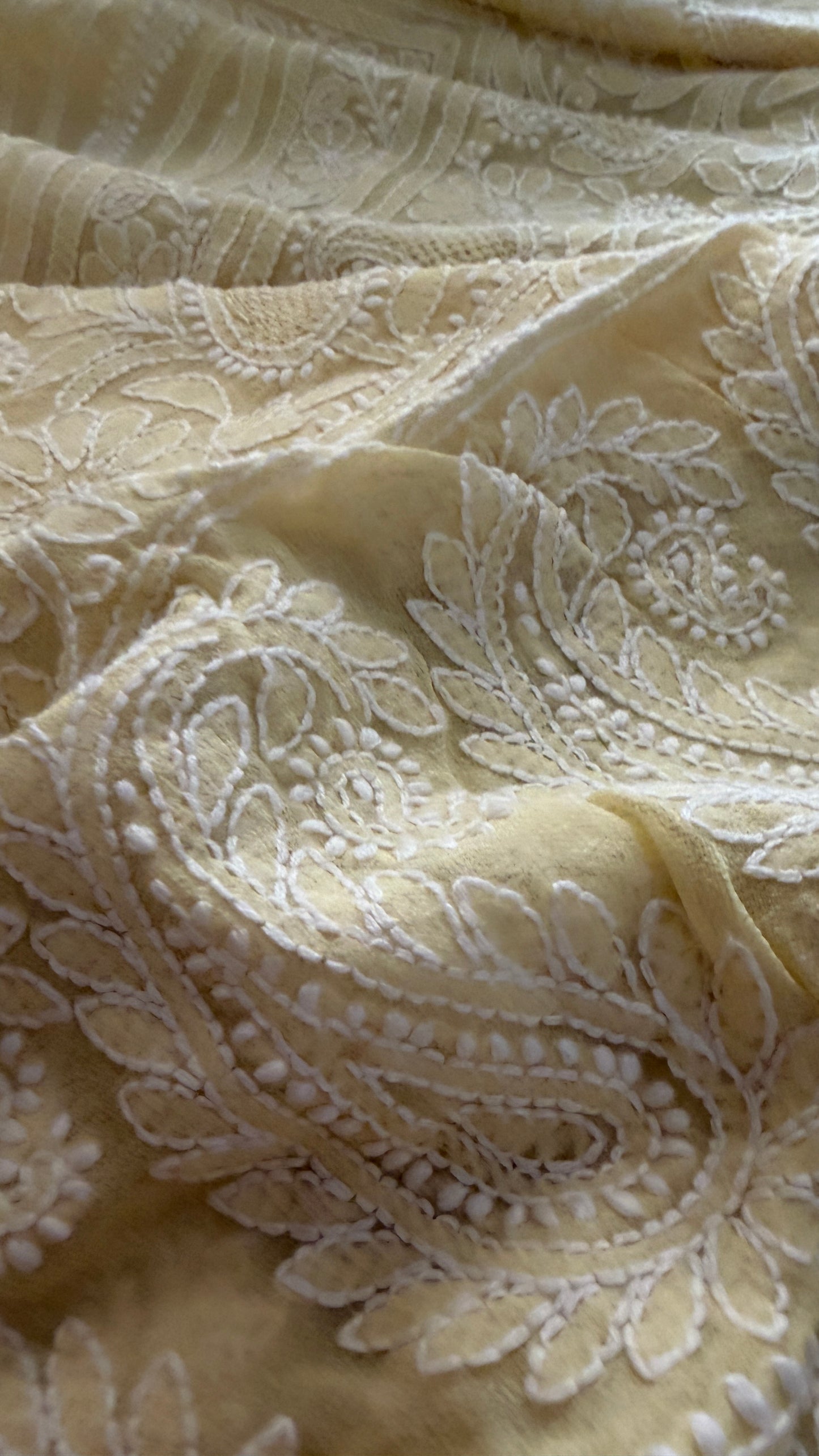 Beige Hand Jaali Chikankari Dupatta