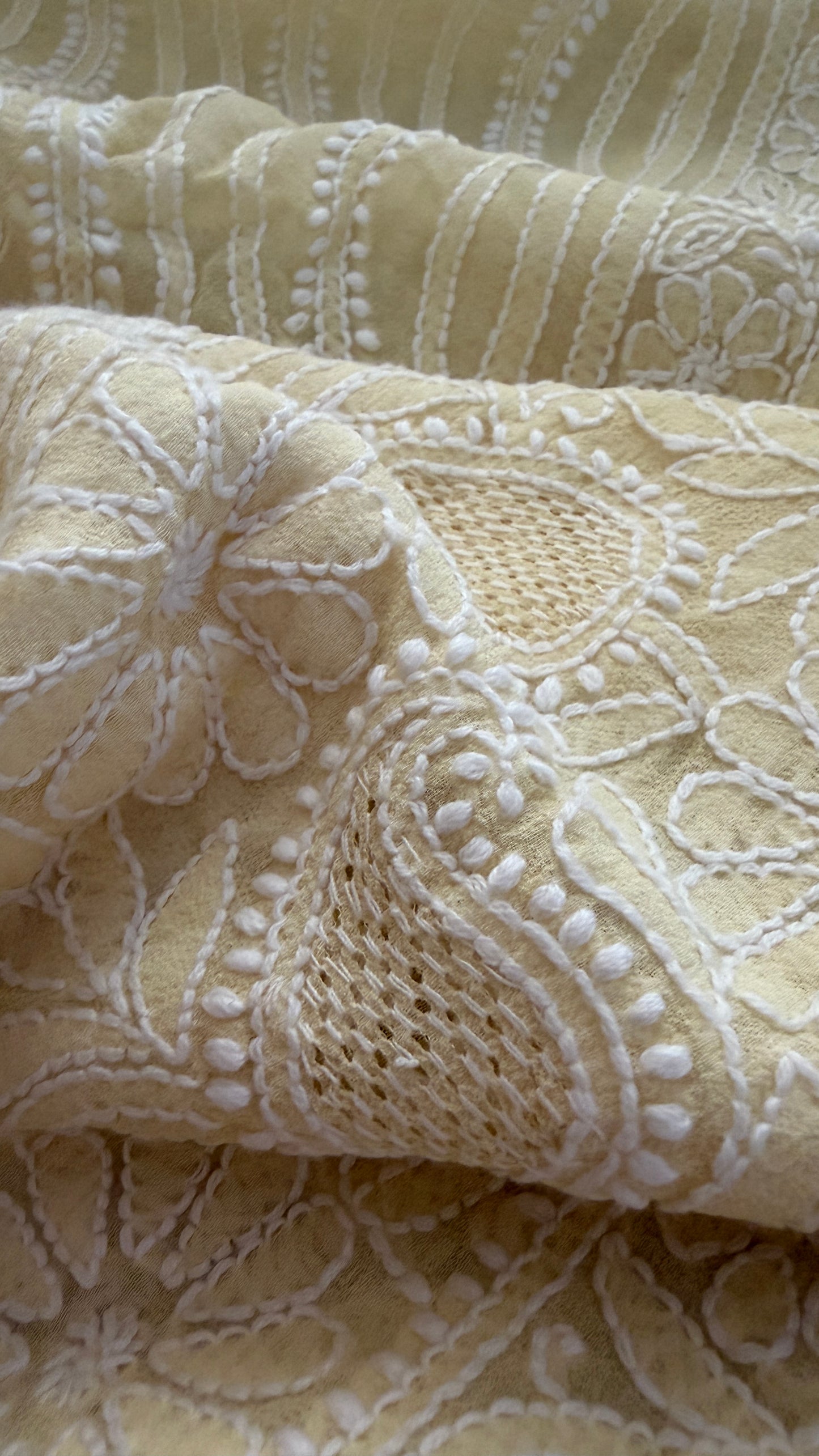 Beige Hand Jaali Chikankari Dupatta