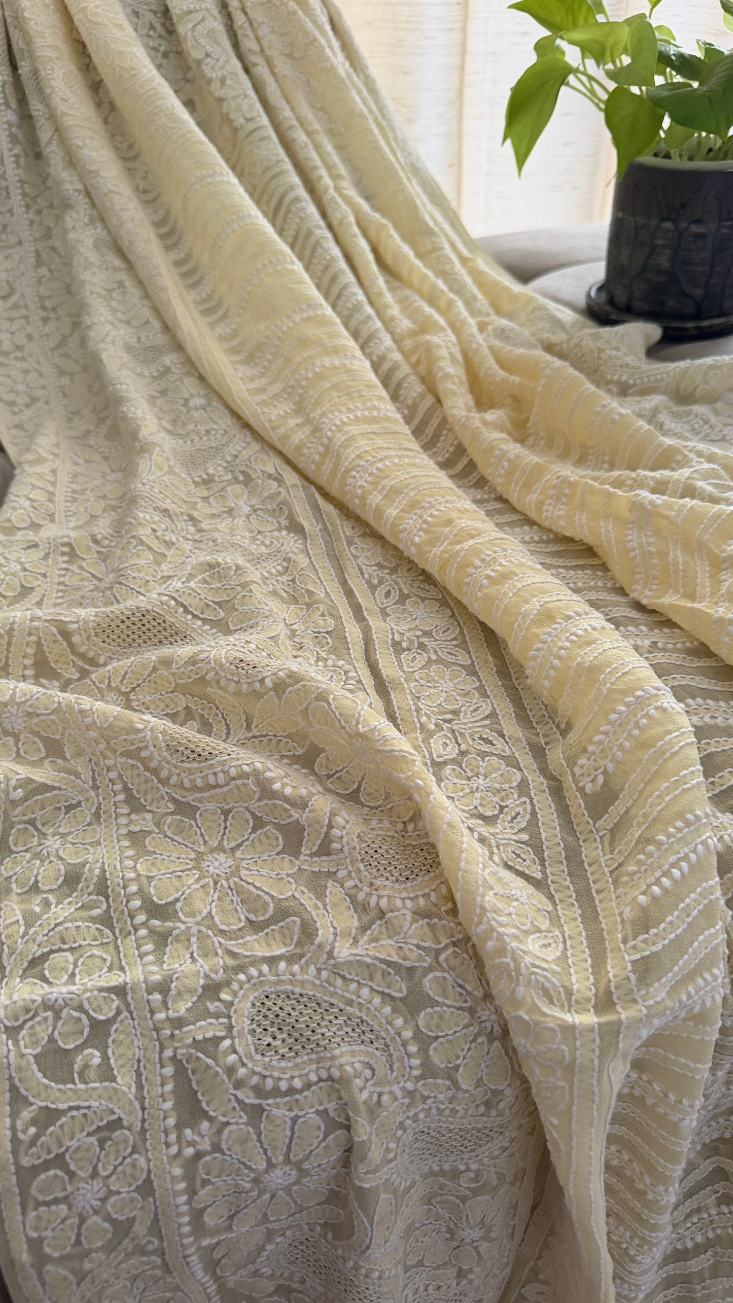 Beige Hand Jaali Chikankari Dupatta