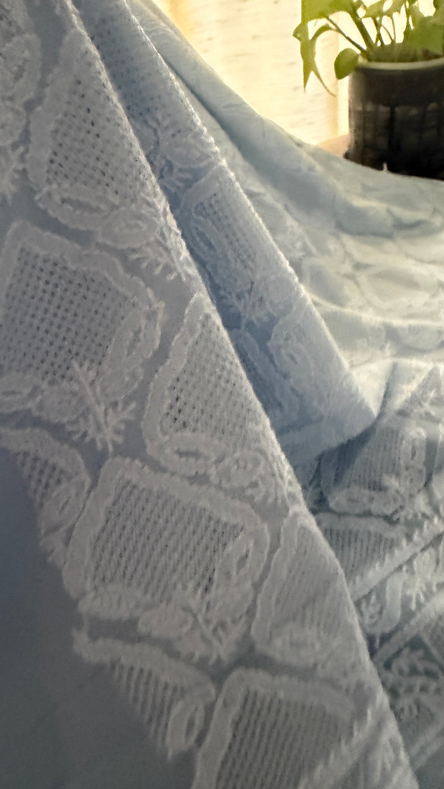 Exclusive Powder Blue Hand Jaali Chikankari Suit