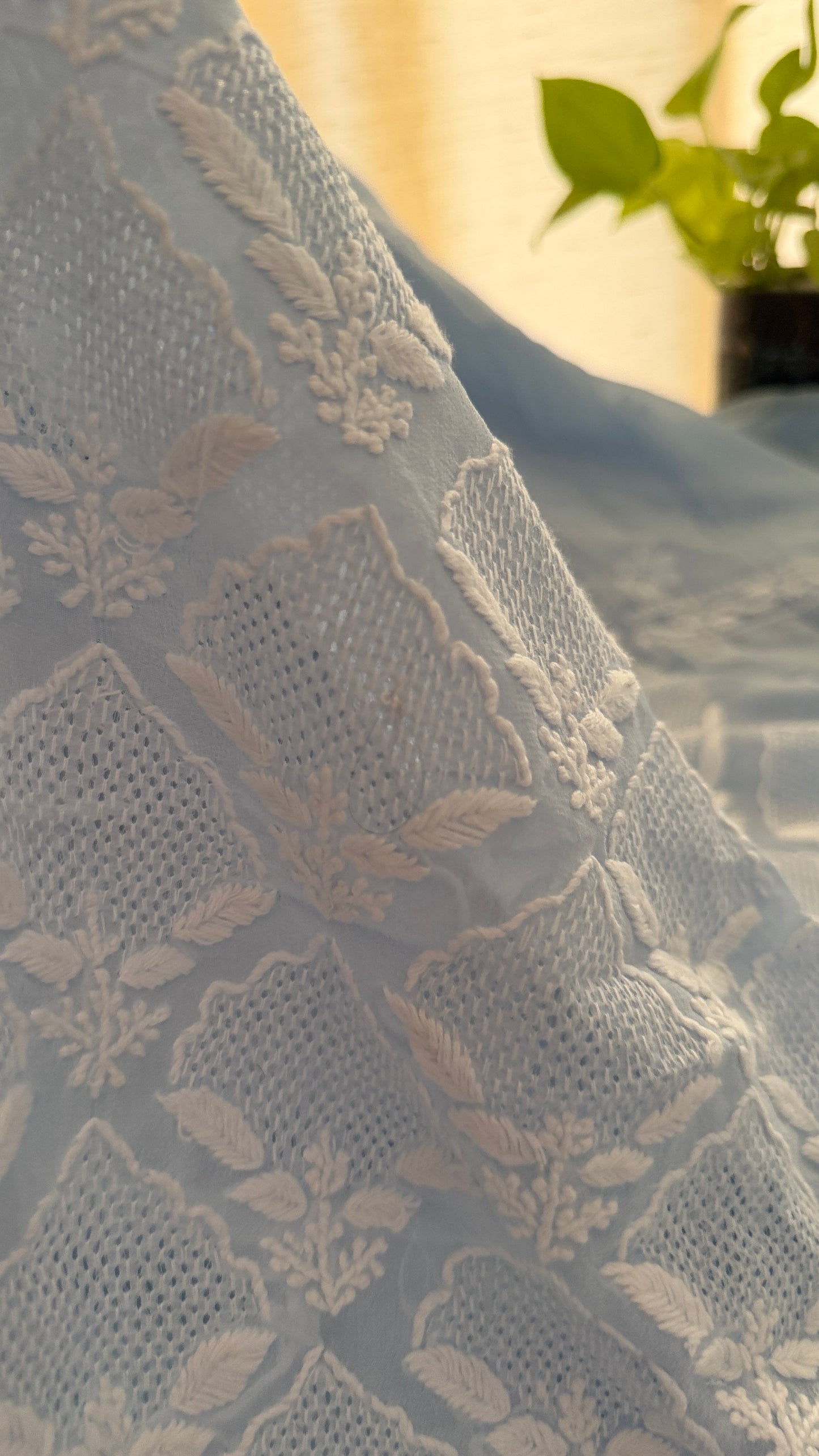 Exclusive Powder Blue Hand Jaali Chikankari Suit