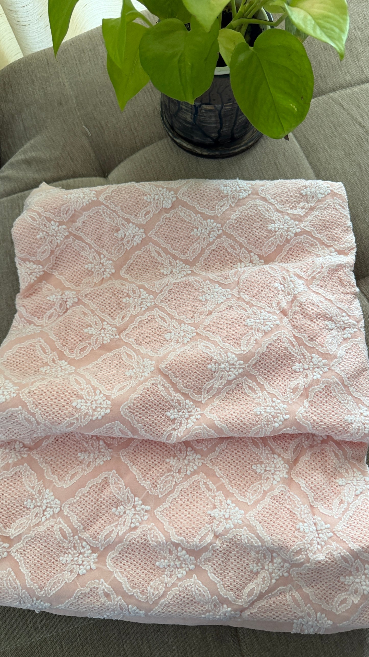 Pastel Pink Hand Jaali Chikankari Suit
