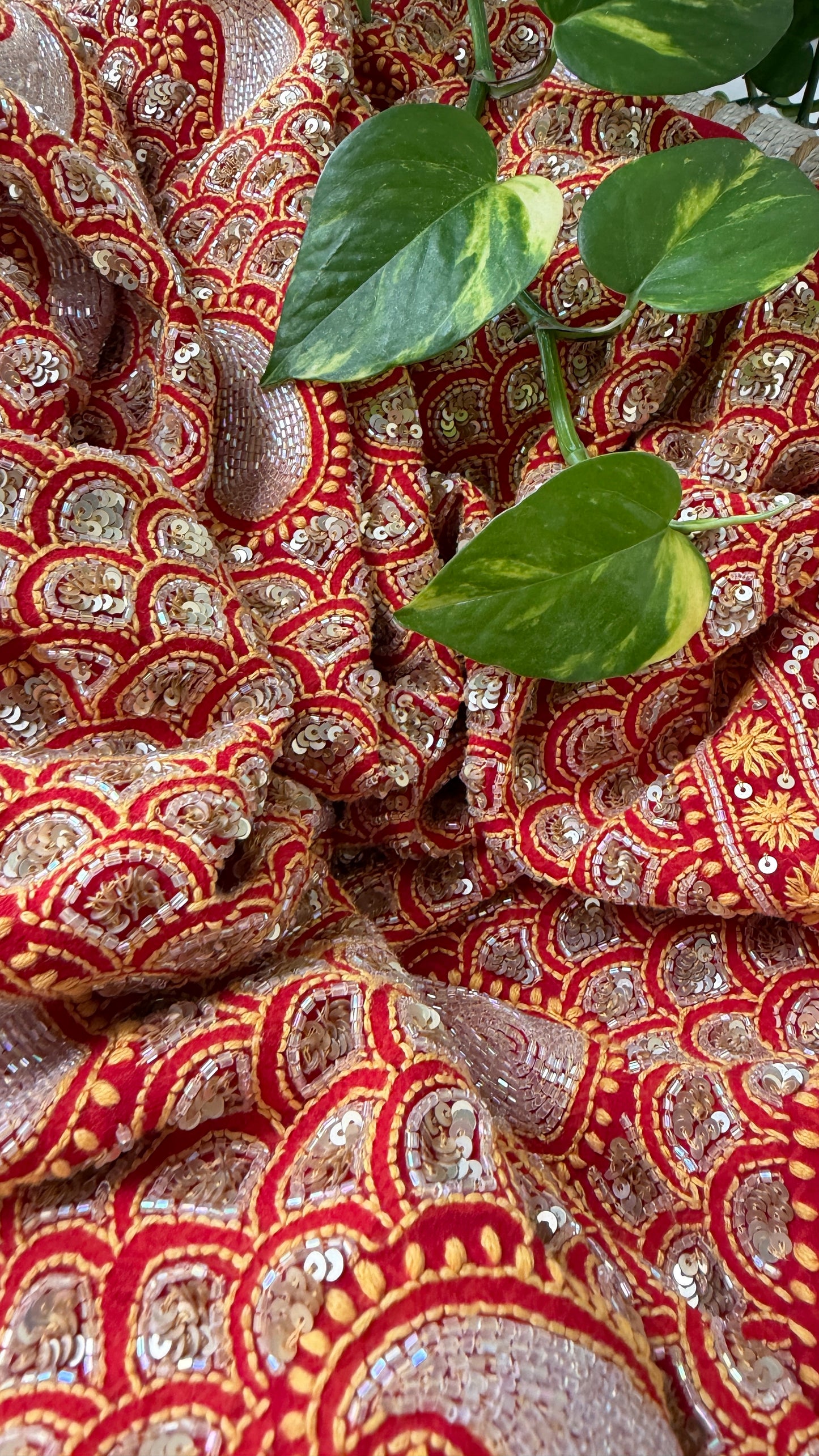 Party Wear Red Embellished Chikankari Suit for Women