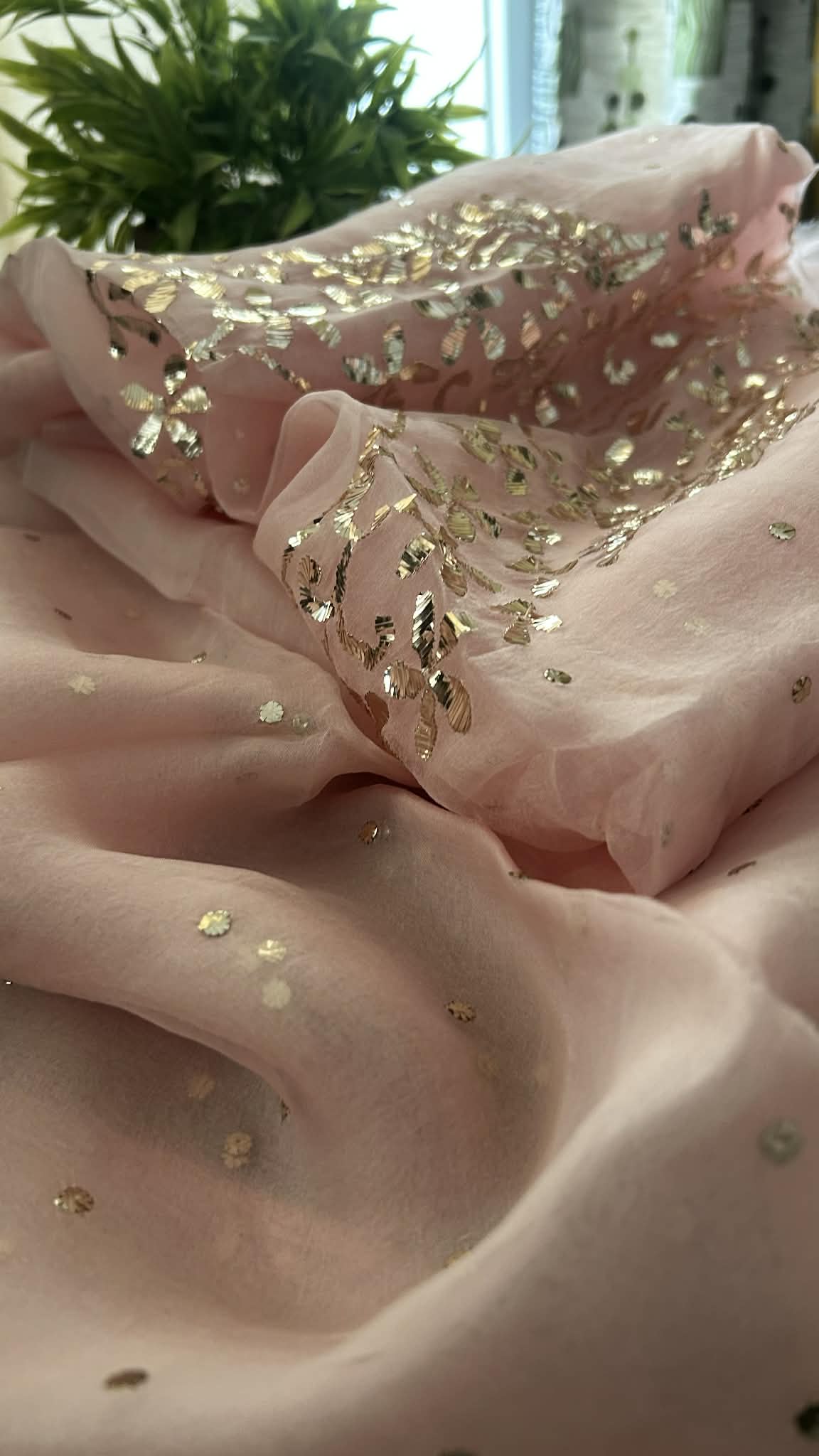 Pastel Pink Organza Mukaish Suit