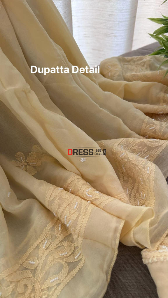 Beige Chikankari & Pearl Anarkali Suit Chikankari Anarkali