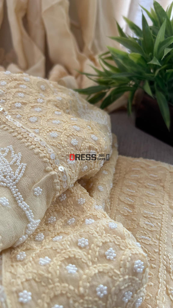 Beige Chikankari & Pearl Anarkali Suit Chikankari Anarkali