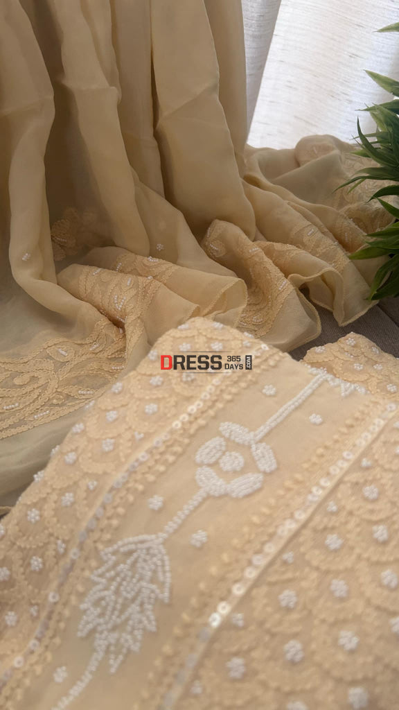 Beige Chikankari & Pearl Anarkali Suit Chikankari Anarkali