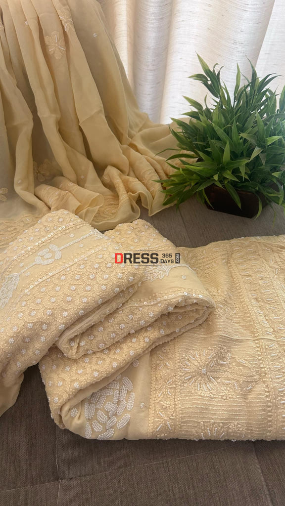 Beige Chikankari & Pearl Anarkali Suit Chikankari Anarkali