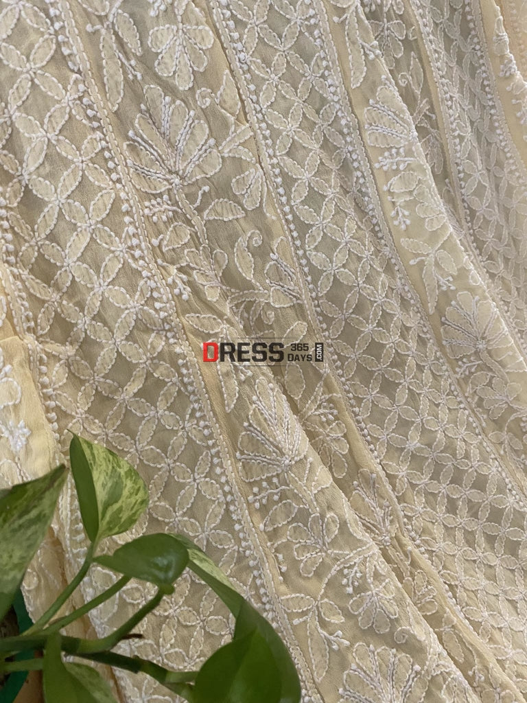 Beige Hand Embroidered Chikankari Anarkali