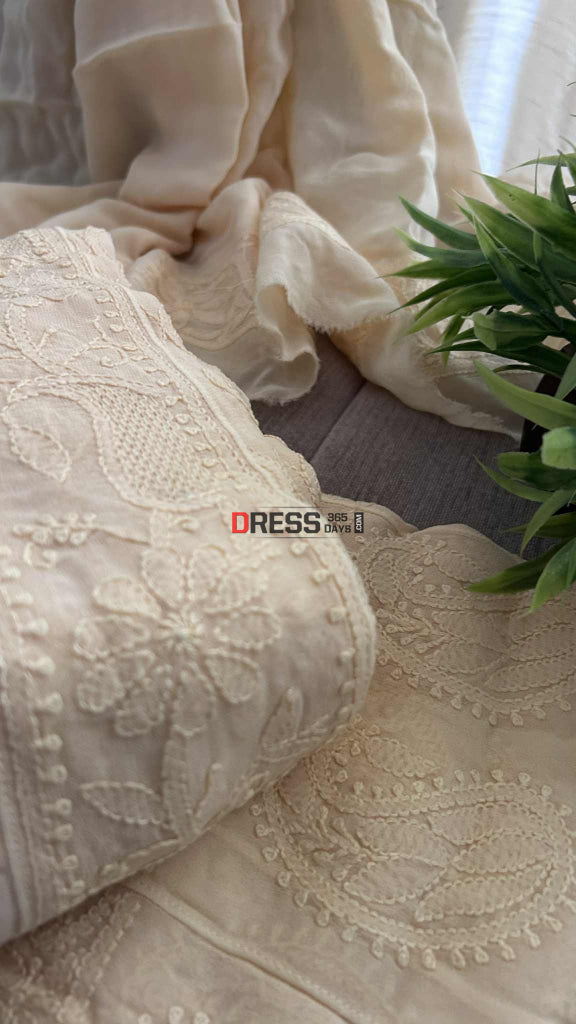 Beige Hand Jaali Lucknowi Chikankari Anarkali Chikankari Anarkali