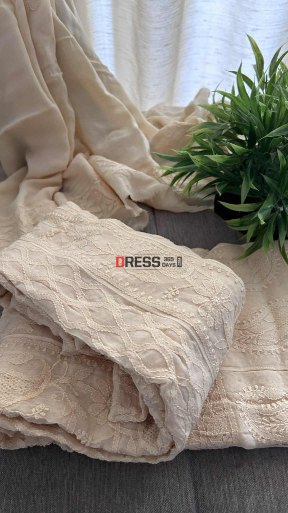 Beige Hand Jaali Lucknowi Chikankari Anarkali Chikankari Anarkali