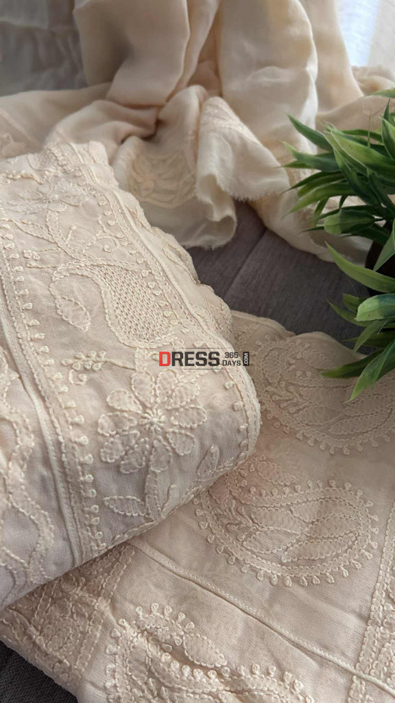 Beige Hand Jaali Lucknowi Chikankari Anarkali Chikankari Anarkali