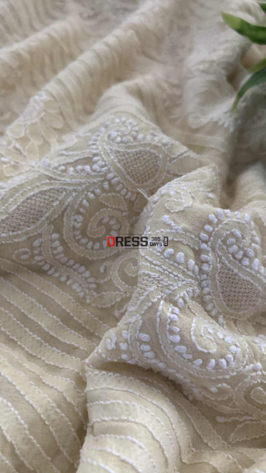 Beige Lucknawi Chikankari Hand Jaali Saree Chikankari Saree