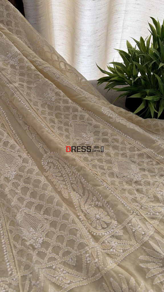 Beige Lucknowi Chikankari Hand Jaali Anarkali