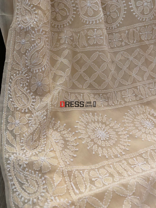 Beige Lucknowi Chikankari Saree