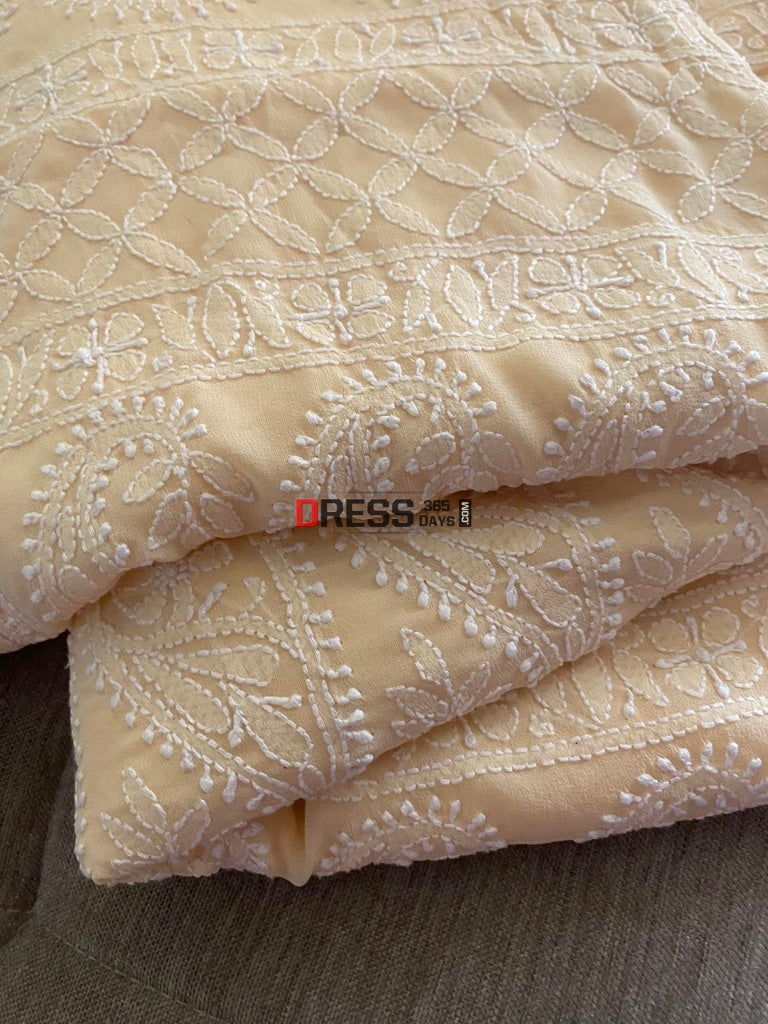 Beige Lucknowi Chikankari Saree