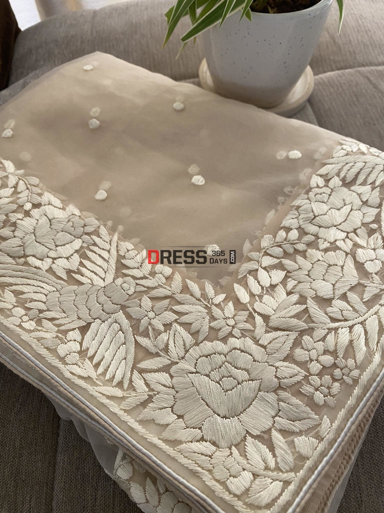 Beige Organza Parsi Gara Hand Embroidered Dupatta