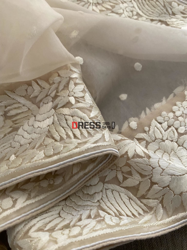 Beige Organza Parsi Gara Hand Embroidered Dupatta