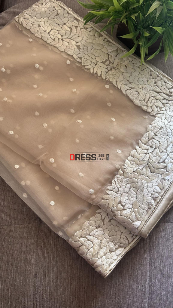 Beige Organza Parsi Gara Hand Embroidered Dupatta Parsi Gara Dupatta