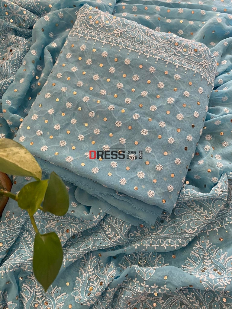 Blue Front And Back Chikankari Suit With Embroidered Dupatta Suits