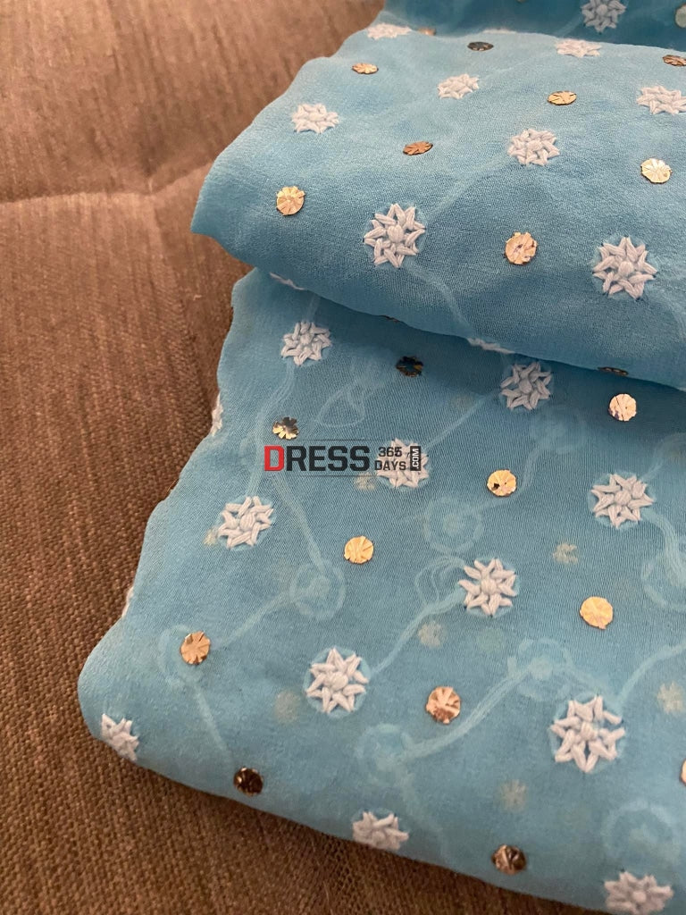 Blue Front And Back Chikankari Suit With Embroidered Dupatta Suits