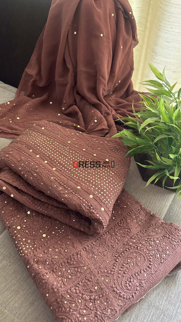 Brown Chikankari Anarkali Suit With Golden Mukaish (Anarkali And Dupatta) Chikankari Anarkali