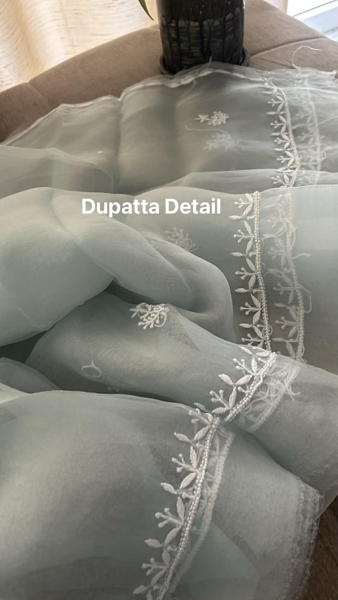 Exclusive Sage Green Organza Pearl Chikankari Suit